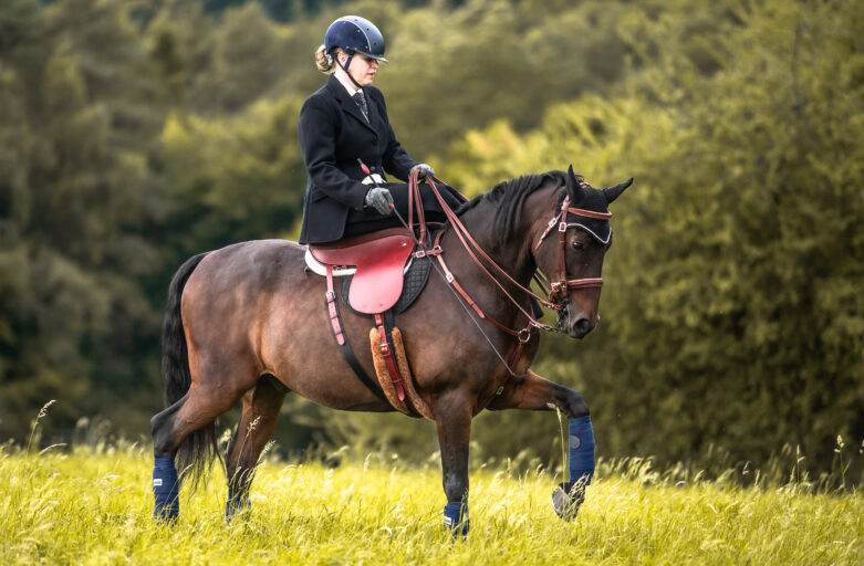 Unterschiede von Sätteln